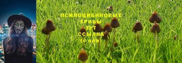 spice Алексеевка