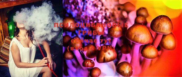 мяу мяу мука Алексин